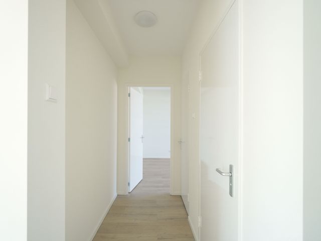 Groenendaal 137, Rotterdam