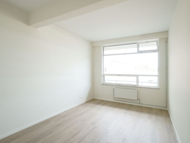 Groenendaal 137, Rotterdam
