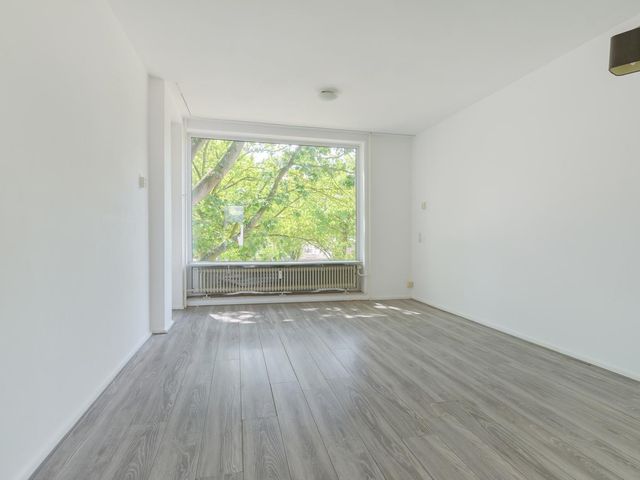 Tobias Asserlaan 316, Tilburg