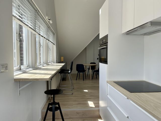 Burgemeester Reigerstraat 84 3, Utrecht