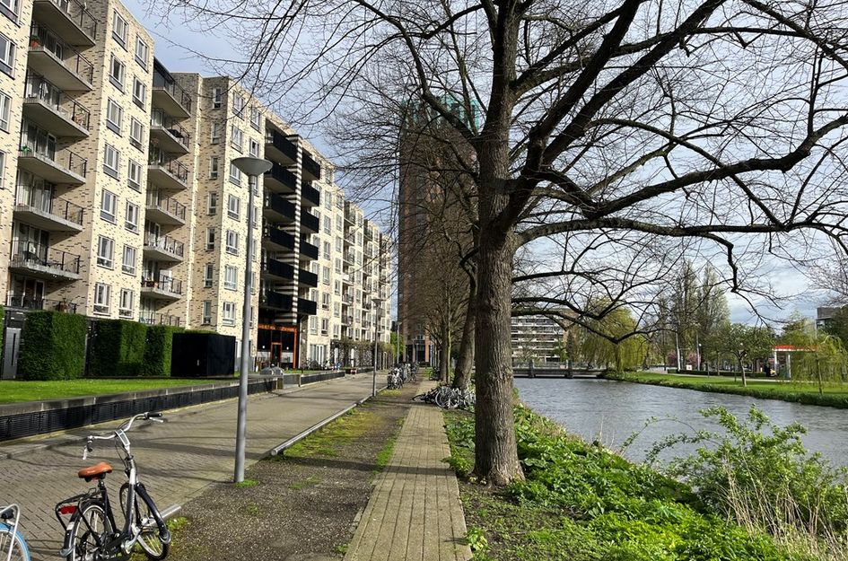 Boezemkade 315