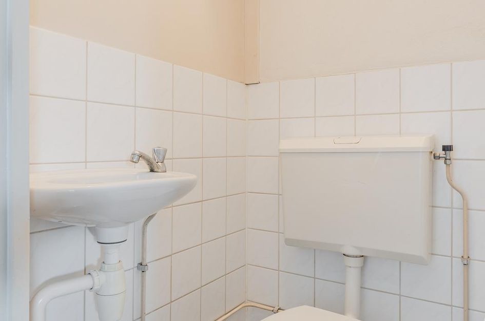 De Kwikstaart 43