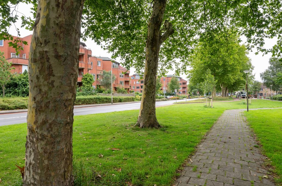 Zijpenberg 133