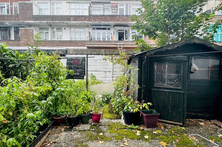 Hulshorststraat 150