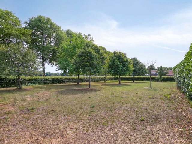 Koekoek 14, Siebengewald