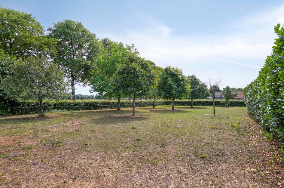 Koekoek 14