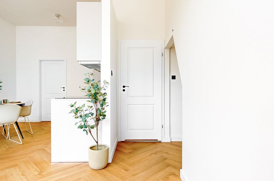 Hooigracht 37