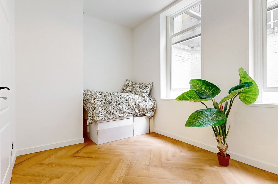 Hooigracht 37