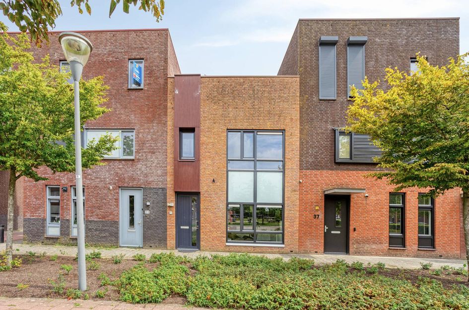 Villa Waterranonkel 35