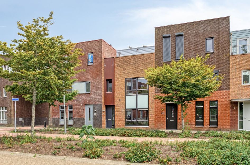 Villa Waterranonkel 35
