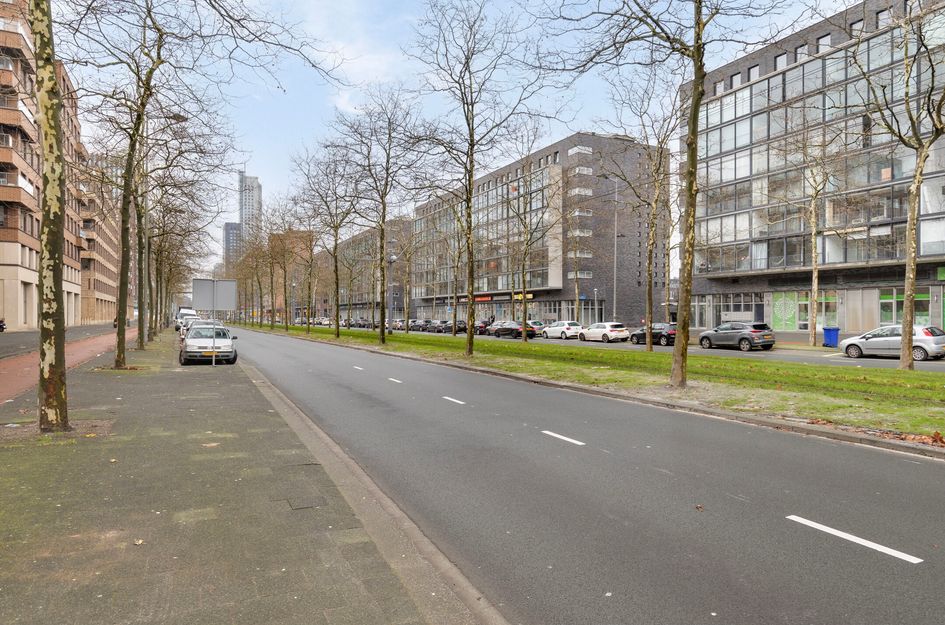 Laan Op Zuid 736