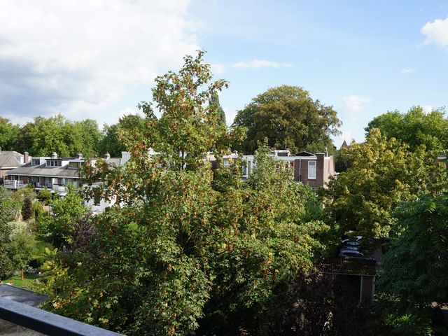 Velperweg 73 6, Arnhem