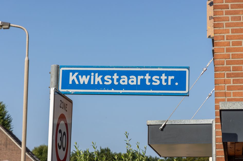 Kwikstaartstraat 29