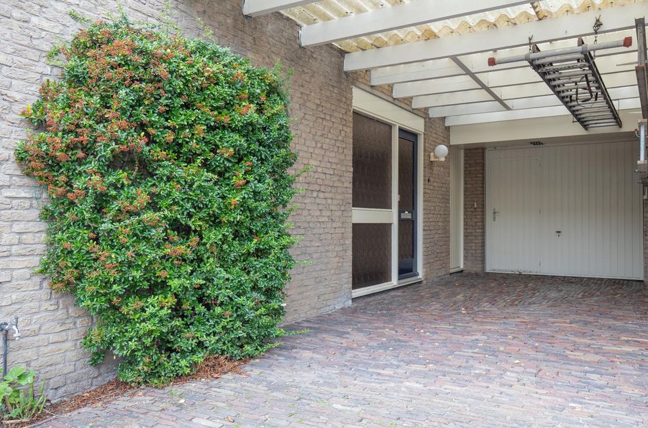Aardbolhof 3