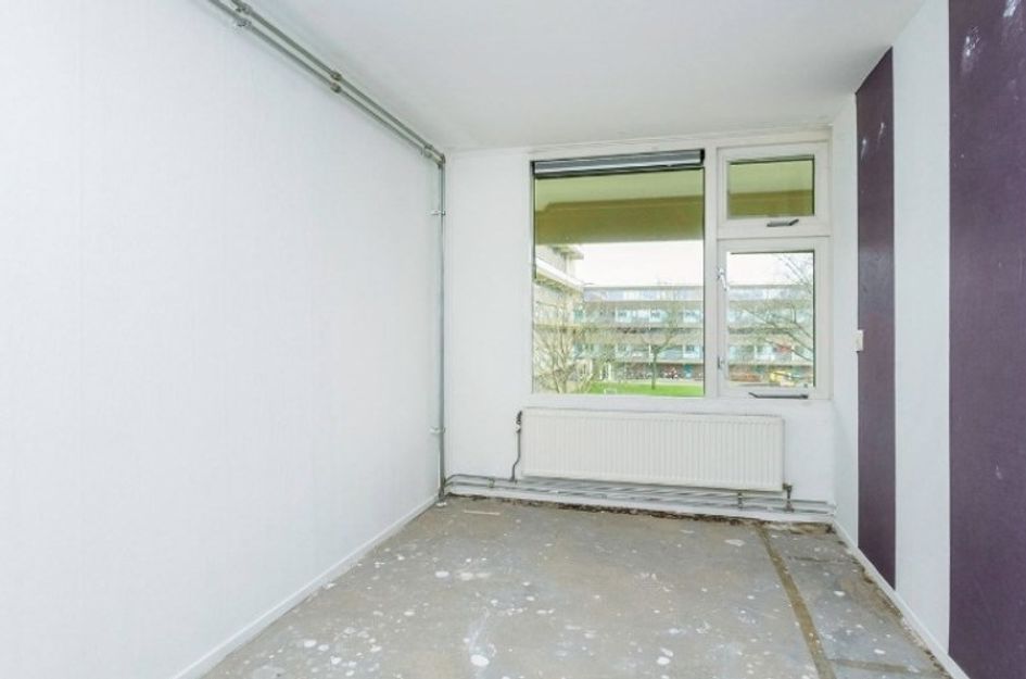 Rietzangerstraat 