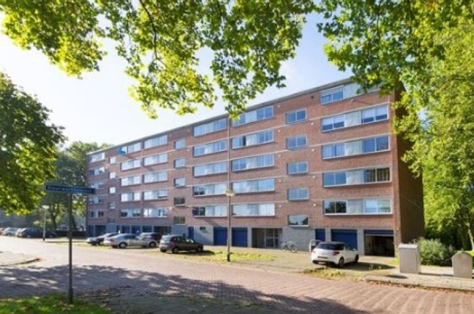 Doorwerthstraat 