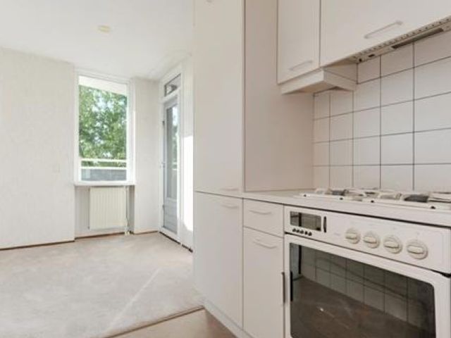 Buizerdlaan , Delft