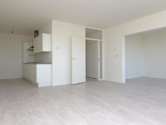 De Brink , Den Haag