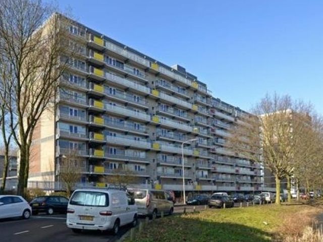 De Brink , Den Haag