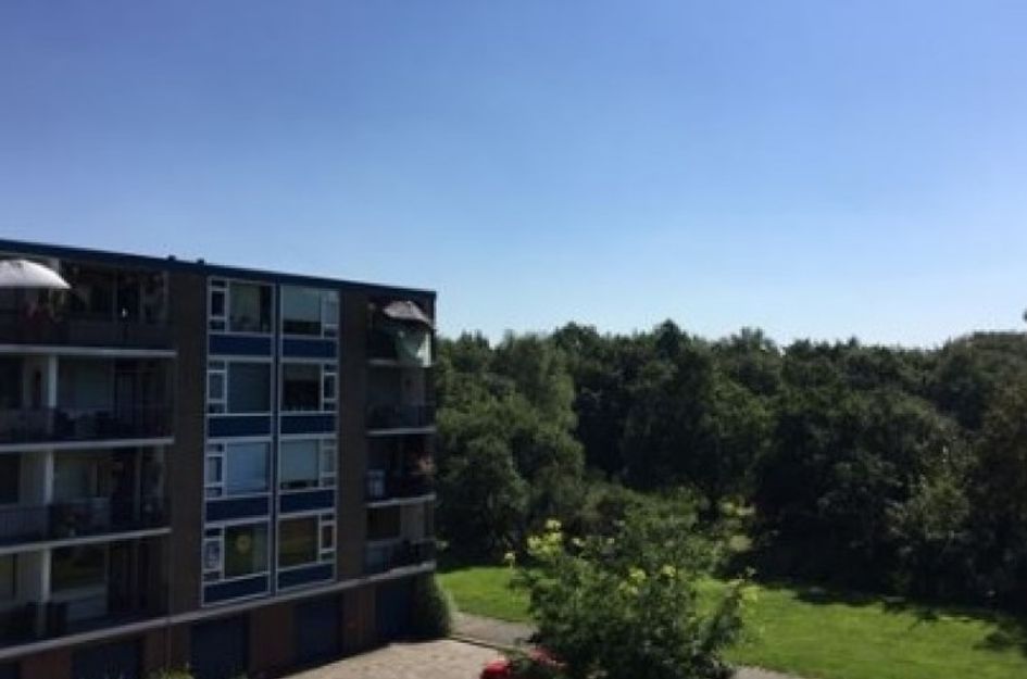 Banckertlaan 