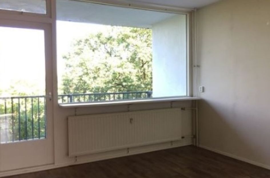 Banckertlaan 