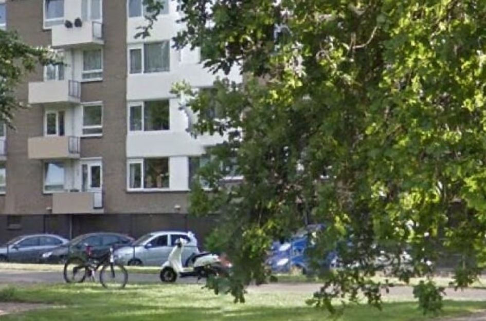 Wolkammersdreef 