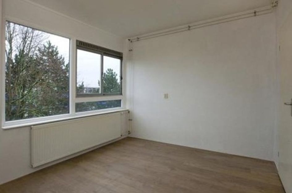 Ringbaan-Zuid 