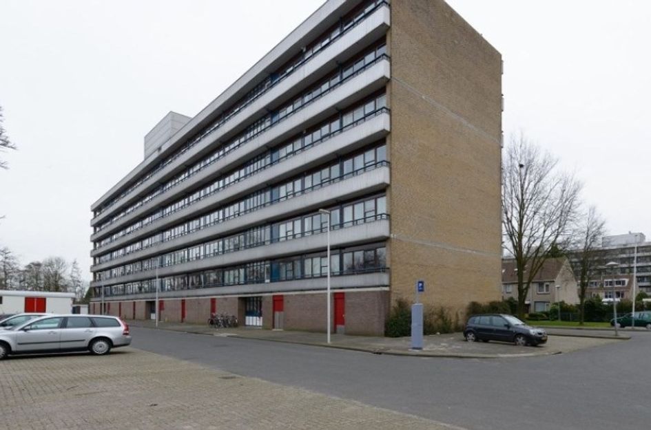 Rümkelaan 