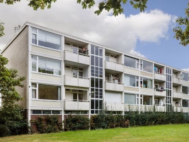 Eisenhowerlaan , Utrecht