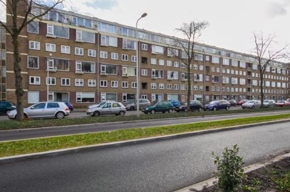 Briljantlaan 