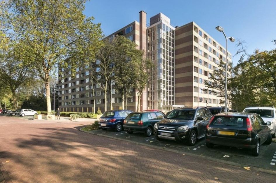 Fluitekruidweg 