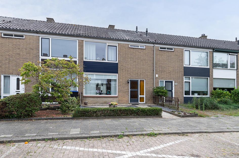 Johan de Wittstraat 54
