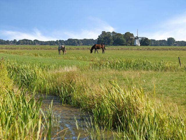 Hoofdweg 112, Burdaard
