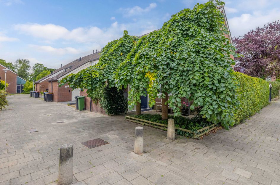 Oude Vlie 98