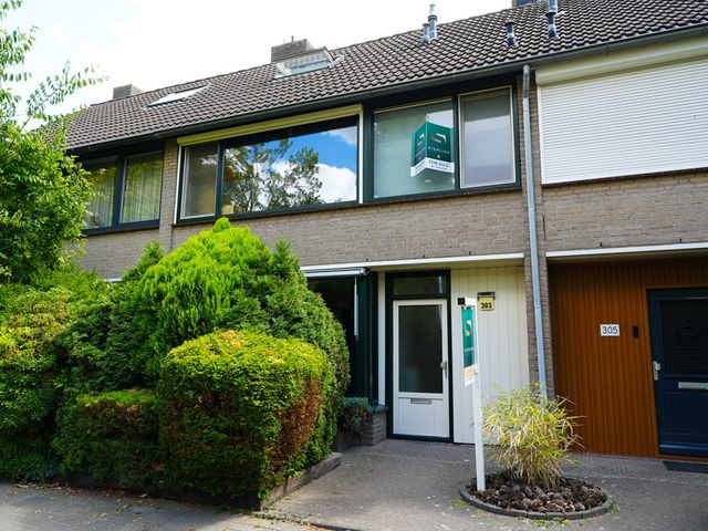 Woenselsestraat 303, Eindhoven
