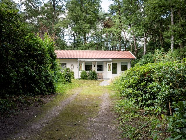 Wittebergweg 18H55, Nutter