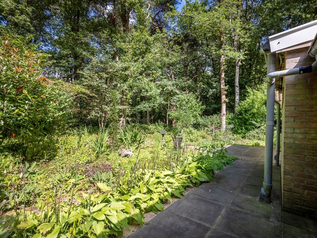 Wittebergweg 18H55, Nutter