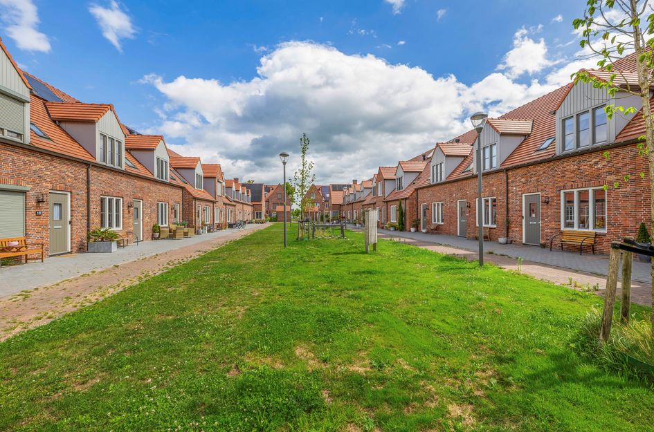 Grenenhout 3