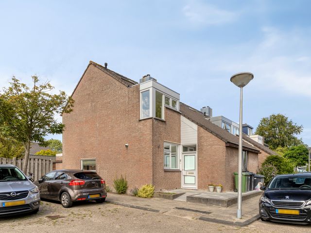 Anjer 1, De Lier