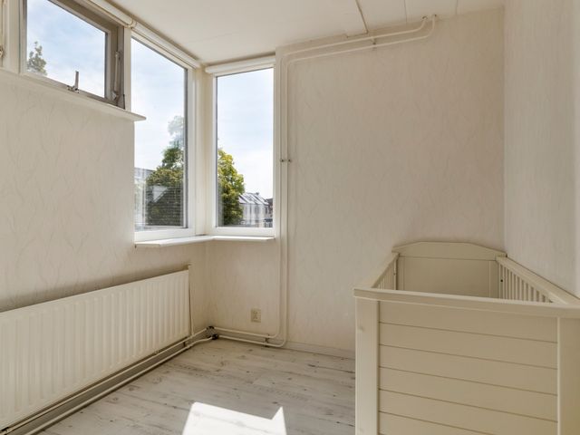 Anjer 1, De Lier