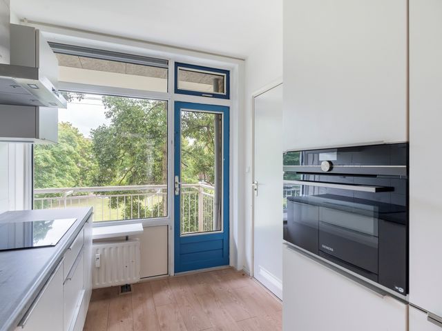Van Der Haertstraat 30, Delft