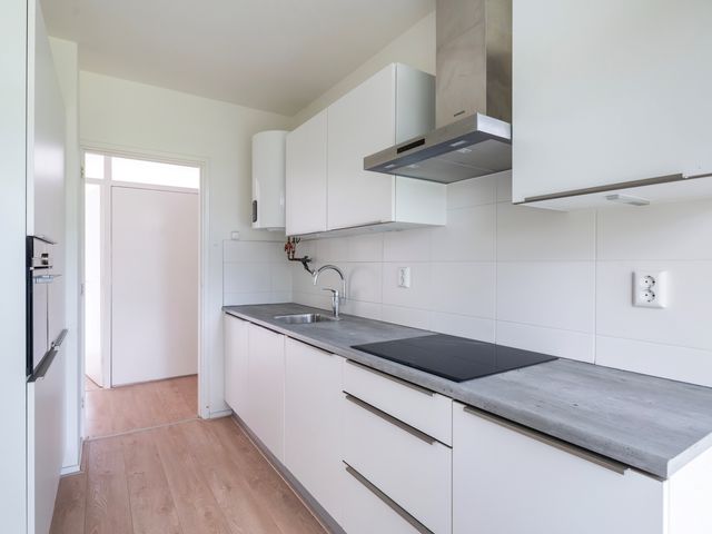 Van Der Haertstraat 30, Delft