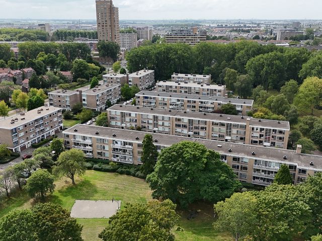 Van Der Haertstraat 30, Delft