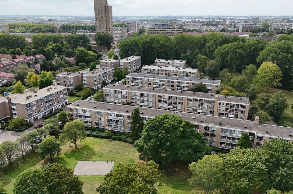 Van Der Haertstraat 30