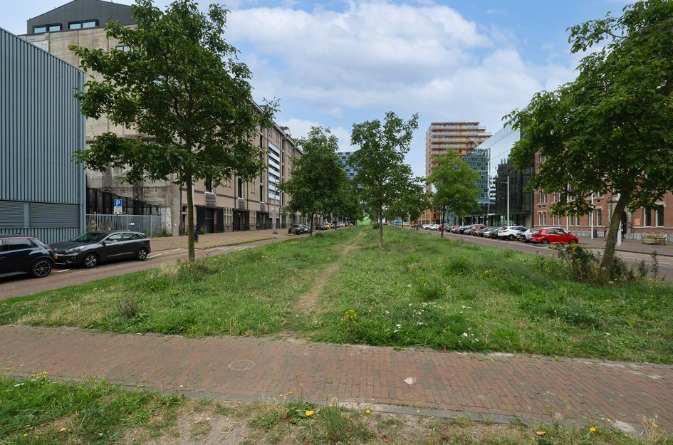 Lloydstraat 38B