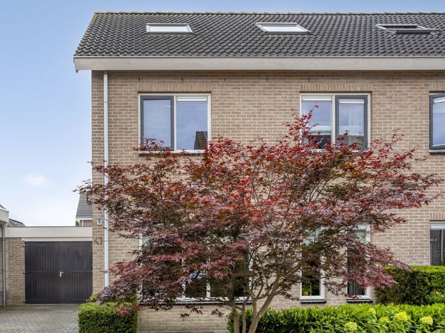 Kreeft 41, IJsselmuiden