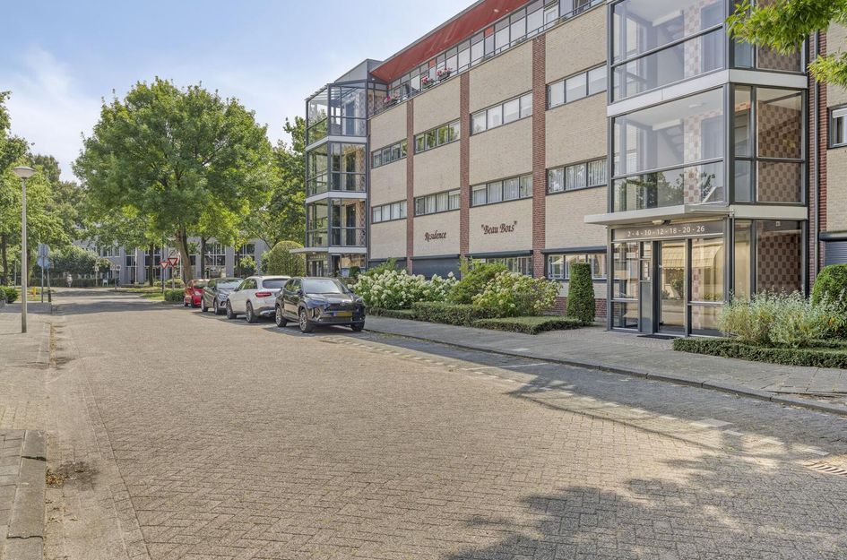 Aalscholver 4