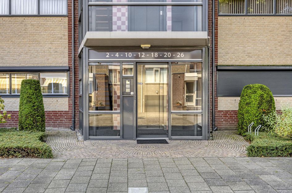Aalscholver 4