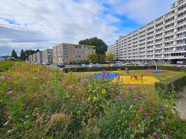 Sint-Janshaven 589, Rotterdam