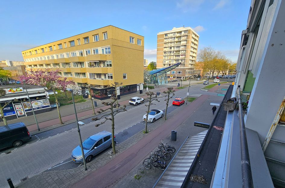 Parkweg 231